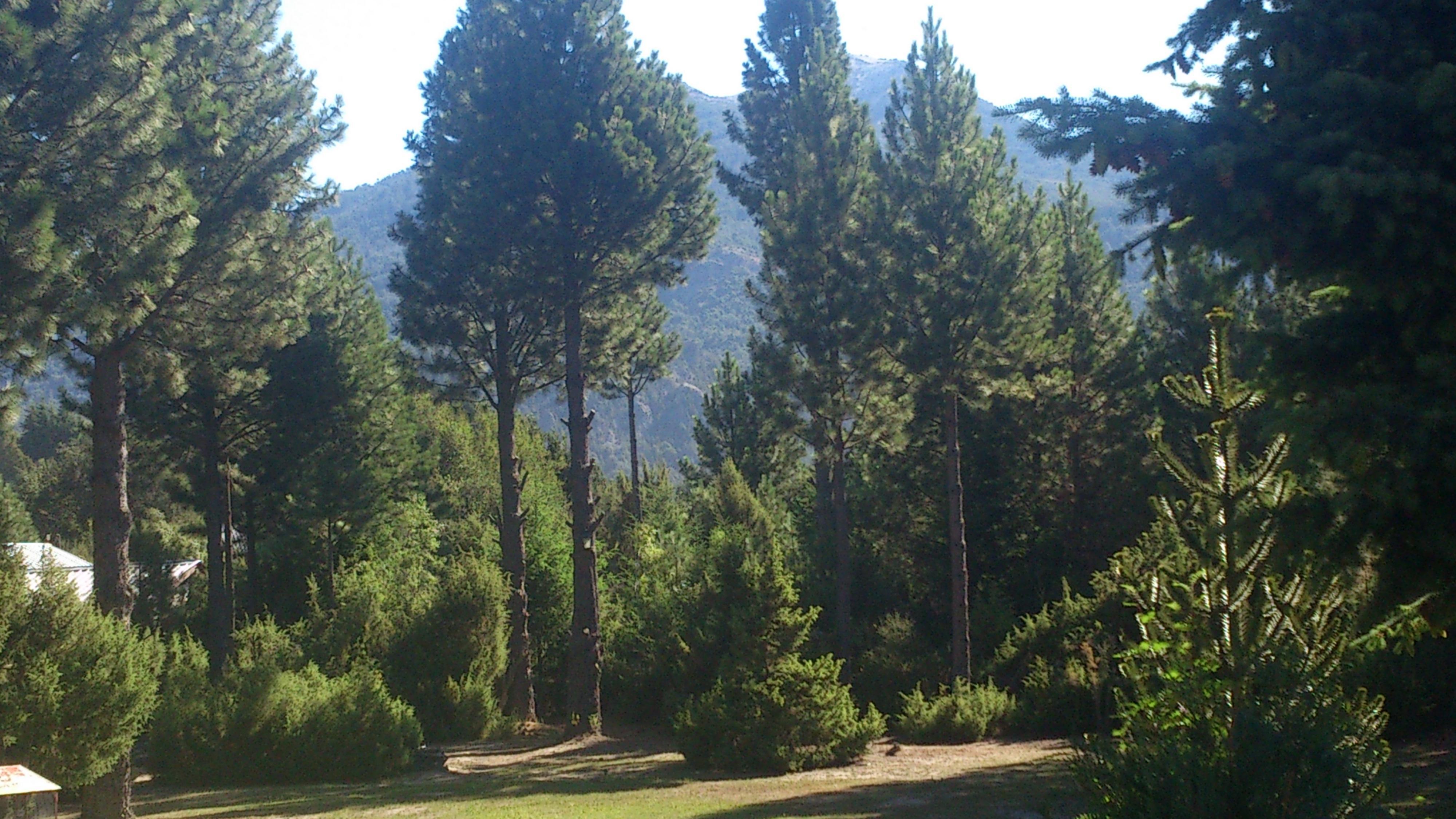 Posada del Angel San Carlos de Bariloche Bagian luar foto